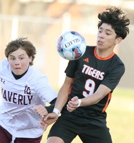 Tigers get morale boost in shutout of Waverly in first round of EMC ...
