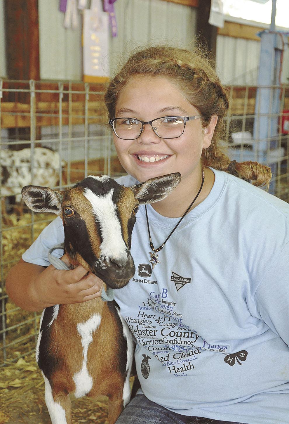 Dairy goats make return to Webster County Fair News