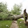 Insurer: Nebraska wind, hail losses exploded in 2022