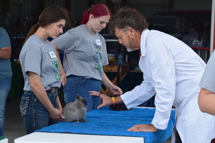Youth highlight skills at Thayer County rabbit show | News ...