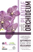 plantae-orchideum-2018-lavendar.jpg
