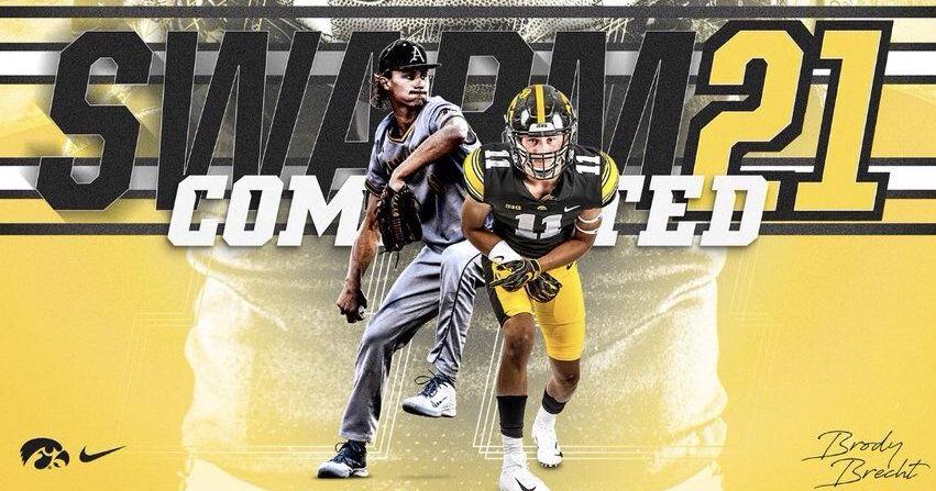 www.hawkeyenation.com