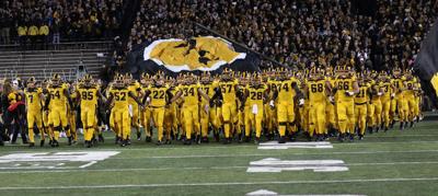 Swarm Hawkeyes
