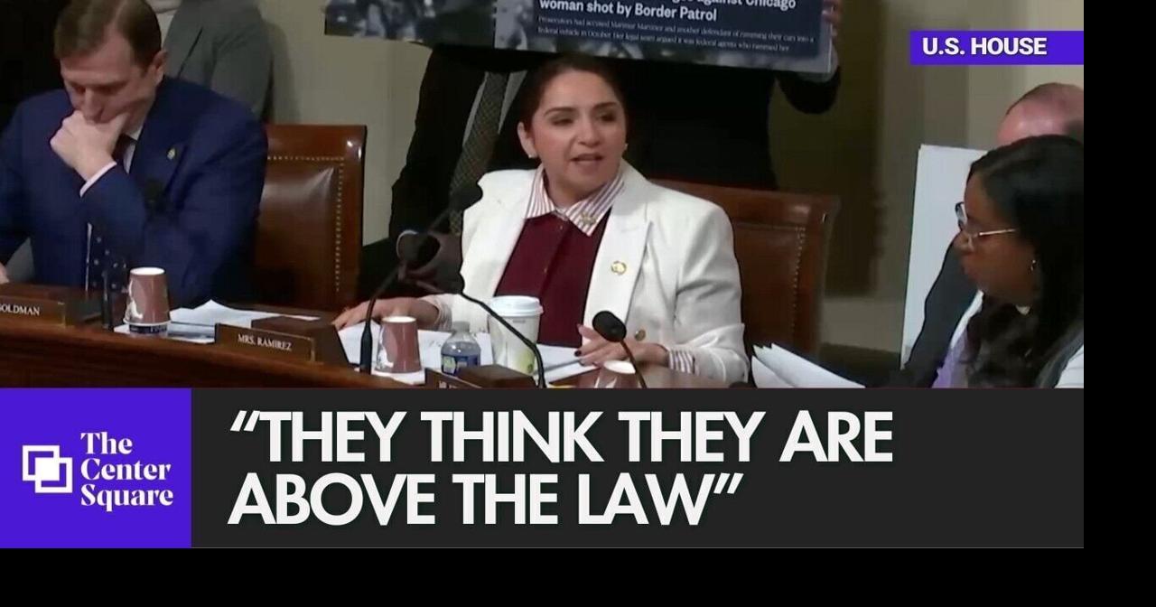 Illinois Democrat claims "The DHS is the single biggest threat to public safety."
