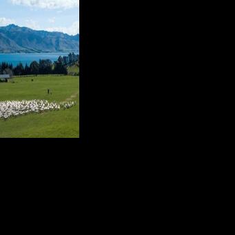 Court case challenges New Zealand's 'magical thinking' climate plans Ben STRANG AFP May 5, 2026 23 mins ago