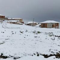 Heavy snow hits Turkey's northeast as wildfires rage