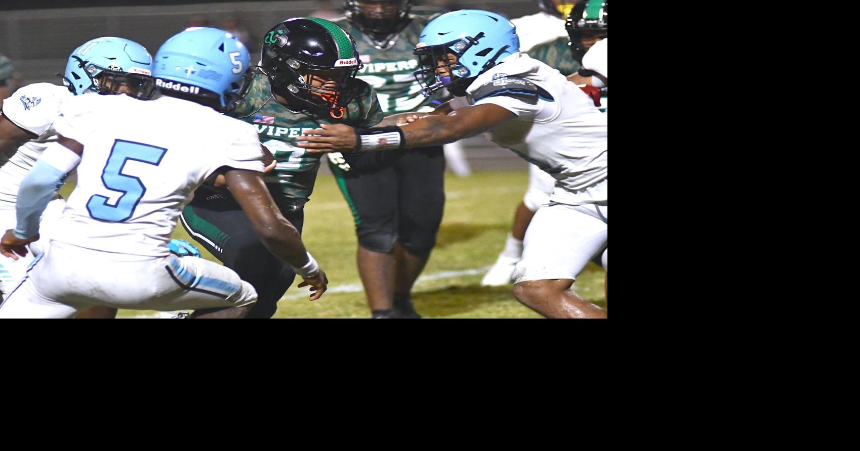 Vipers edged by Vikings in OT thriller