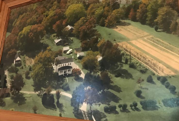 Back to Eden Spellman transforming Satterwhite Point Road property