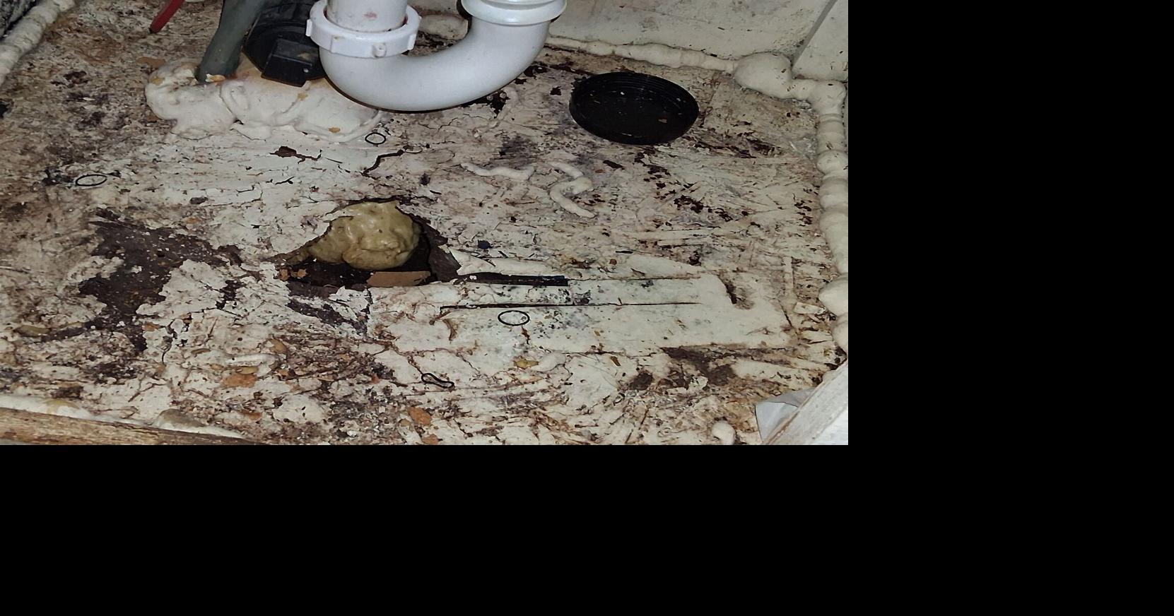 Local man contends with rental headaches