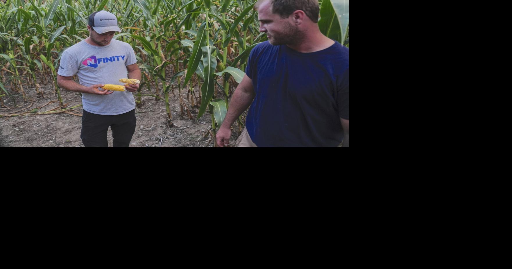 To get that perfect ear of corn, weather has to cooperate. But climate ...