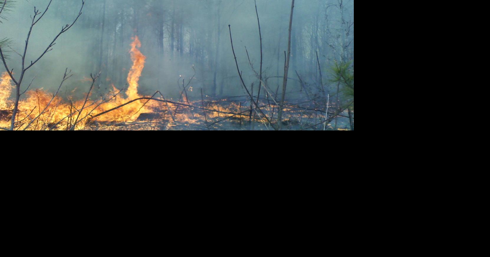 Dry conditions prompt rangers to urge postponement of outdoor burning ...