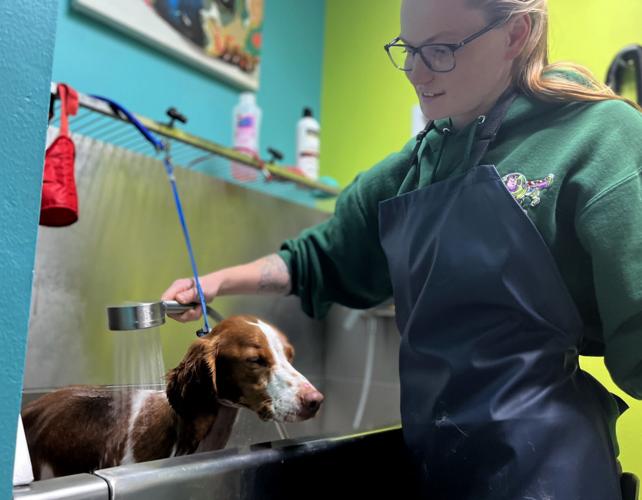 Next Level Kennels 'here to help' community Archives