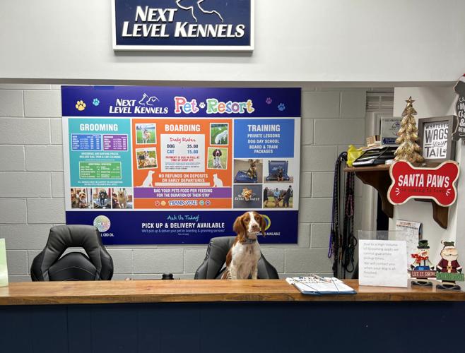Next Level Kennels 'here to help' community Archives
