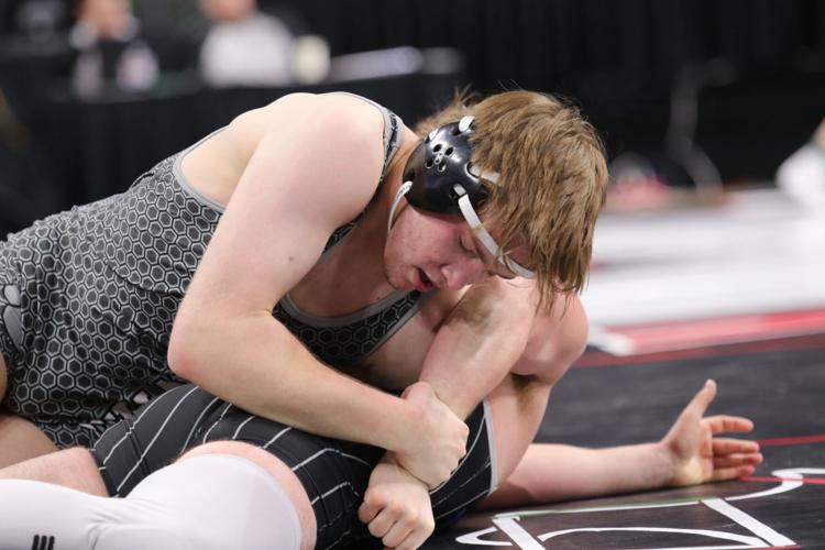 STATE WRESTLING: Panthers keep five alive for Class AA Quarterfinals ...