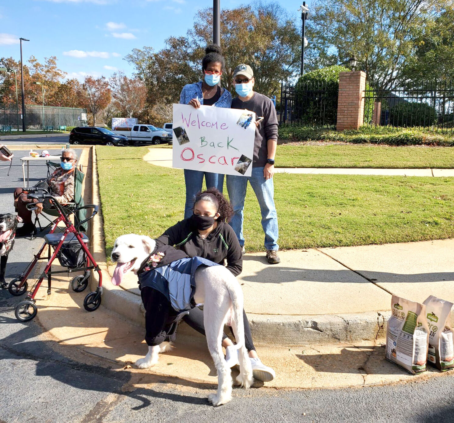 movie dog finds his way home