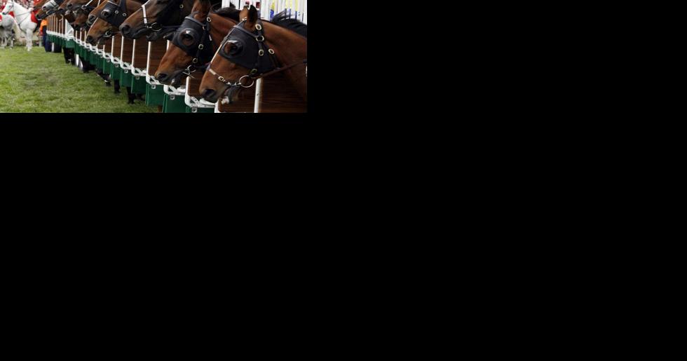 Georgia Senate kills horse racing measure - Vimarsana News
