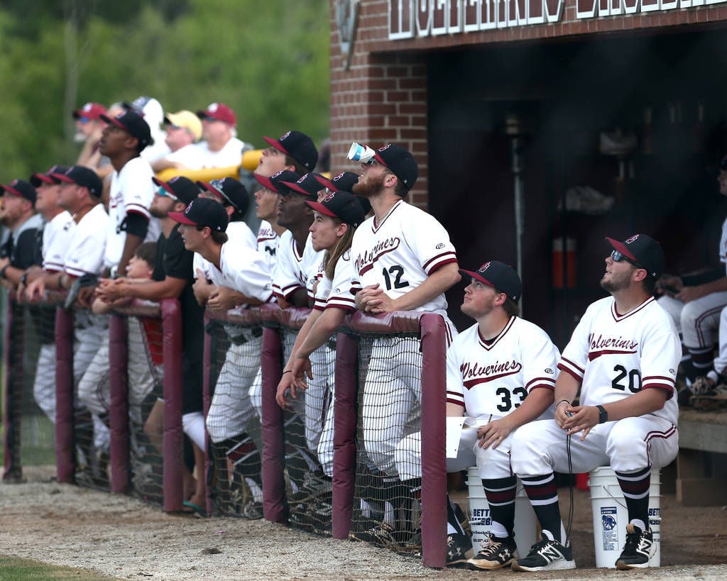 2018 Henry County High School Baseball Preview Sports
