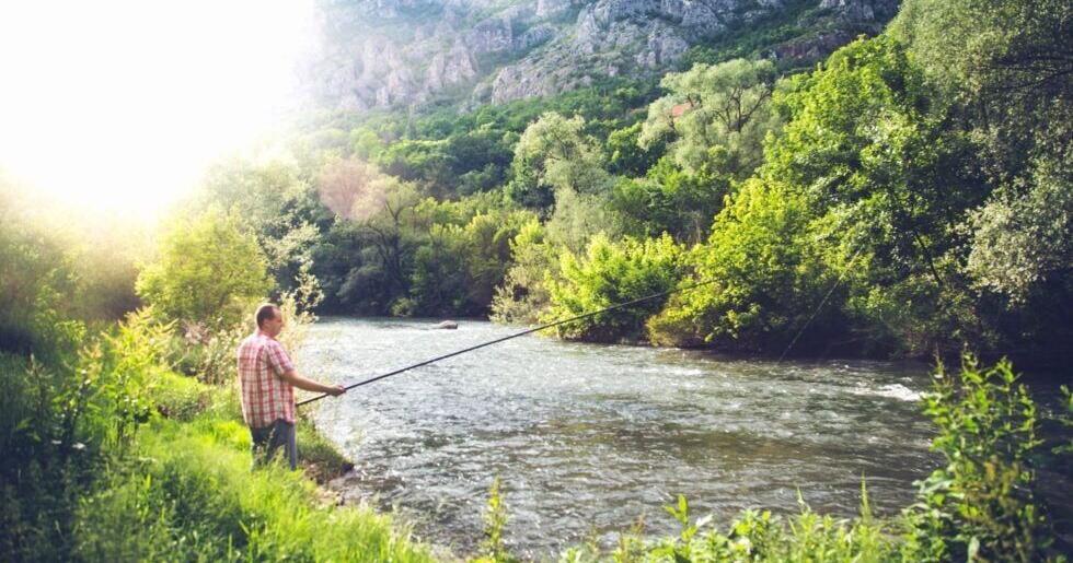 North Georgia property owners warn expanded public fishing would hurt fly-fishing industry - Vimarsana News