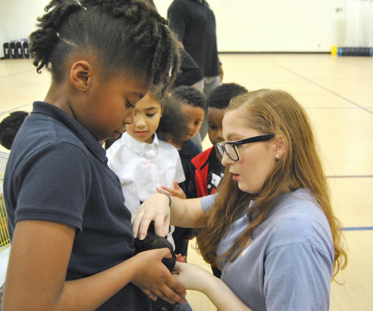 Science Night at Hickory Flat Elementary Multimedia