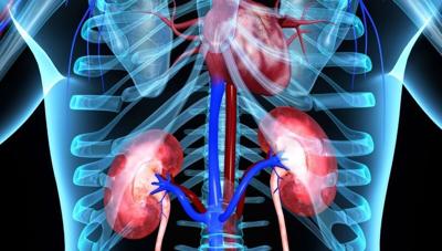 Combo Treatment Doubles Survival for Patients With Advanced Kidney Cancer