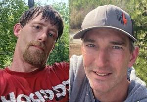 Madison Man Injured In Chainsaw Accident While Up In A High Tree, Rescued By Boss