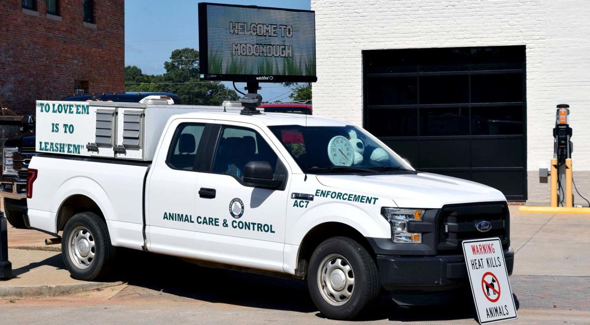 Animal Care and Control patrolling for animals left in hot cars this