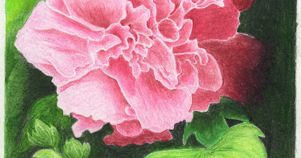 ORRIN MORRIS: Let us all strive to be peacemakers - Vimarsana News