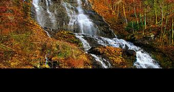 Fall brings leaf-watching season to Georgia state parks - Vimarsana News