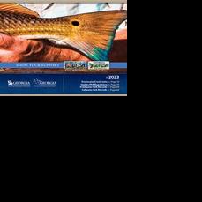 2023 fishing regulations available in 'Go Fish Georgia' - Vimarsana News