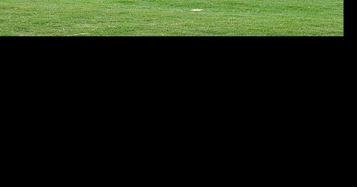 GOLF: ELCA’s Charlie Reeves caps off memorable career with fine showing ...