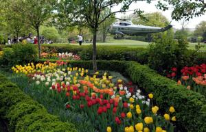 How the White House Rose Garden has changed over the past century