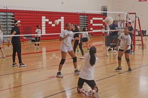 PAL Of Henry County Teams With Schools For Sports Clinics