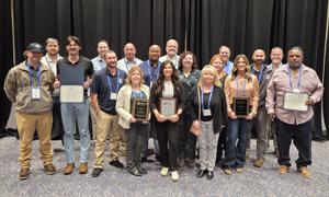 HCWA rings in the new year with six industry awards