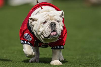 Georgia football is 3-0 as of Saturday. Who do you think will give the Bulldogs the hardest competition in the coming weeks?