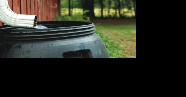 Henry County hosting rain barrel class - Vimarsana News