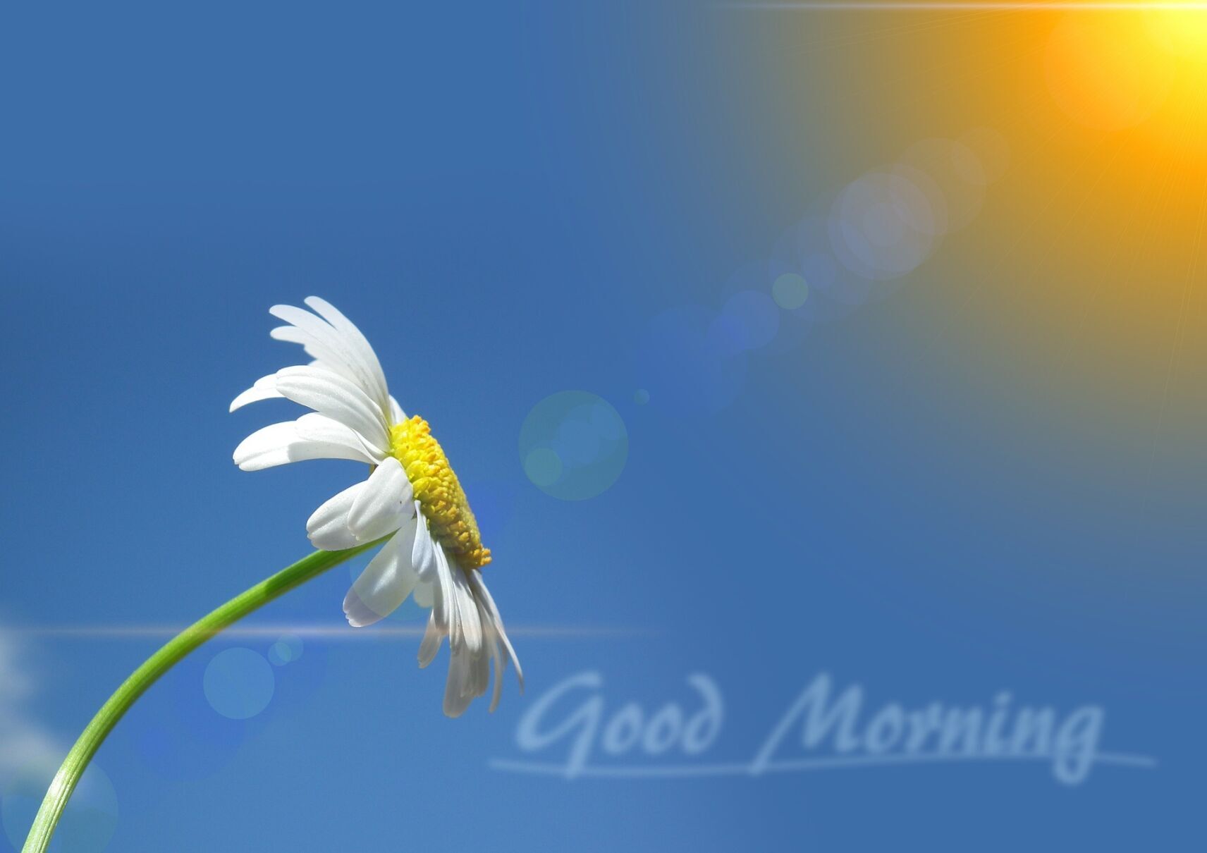 Good morning! It's Saturday, April 24, 2021. - Vimarsana News