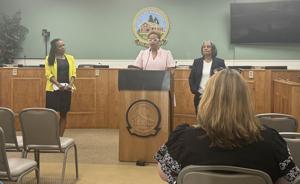Three Hampton council members seek investigation into mayor