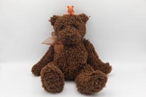 A raggedy toy to a treasured symbol of childhood: The teddy bear