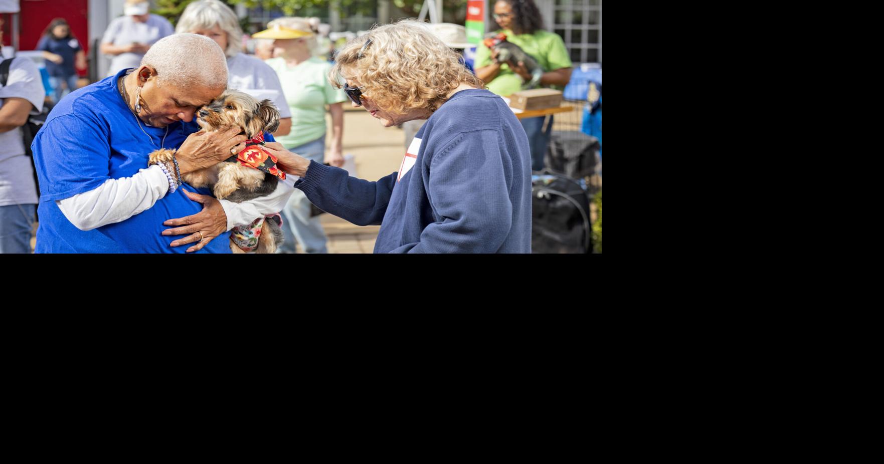 St. Joseph’s to host Animal Blessing and Pet Festival