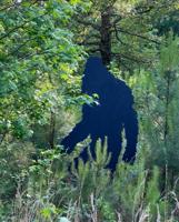 Bigfoot may amaze — or amuse — Henry County motorists