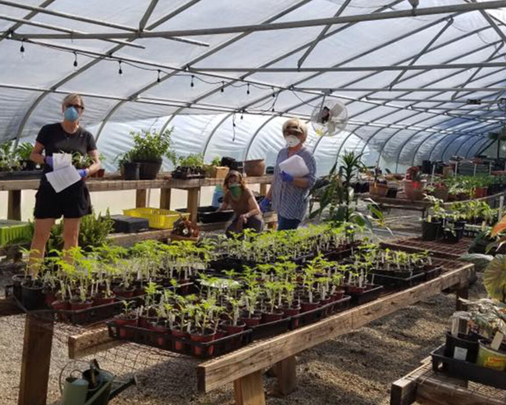University of Georgia Master Gardener volunteers plant seeds of recovery - Vimarsana News