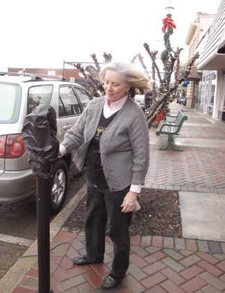 Merchants split on covering parking meters