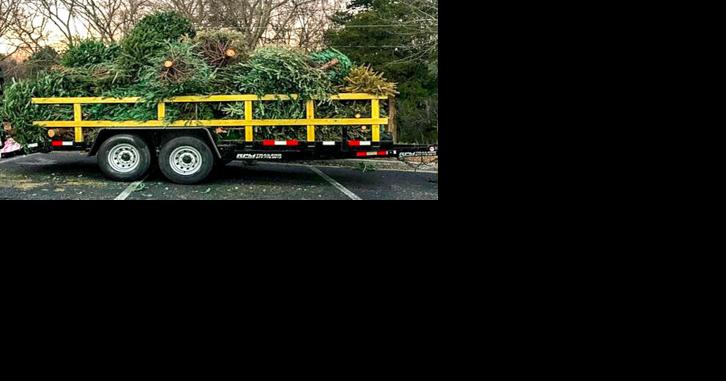 Recycle your Christmas tree in Riverdale Saturday - Vimarsana News
