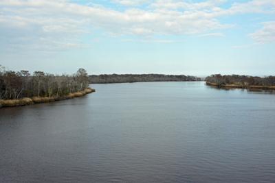 Altamaha_River_from_bridge.jpg