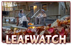 Georgia State Parks Leaf Watch online