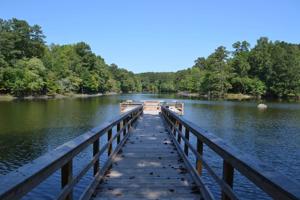 Public fishing areas provide great places for family fun