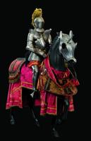 'Knights in Armor' showcase now on exhibit at Fernbank Museum