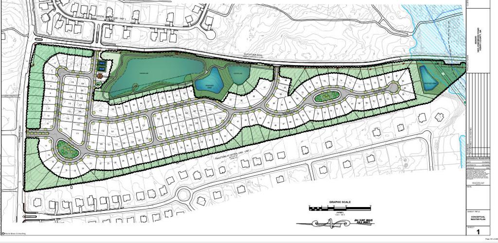 Henry Approves Rezoning For 150-Home Development | News | henryherald.com henry-approves-rezoning-for-150-home-development-news-henryherald-com