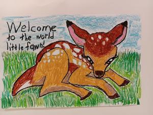 Local student wins award in wildlife poster contest