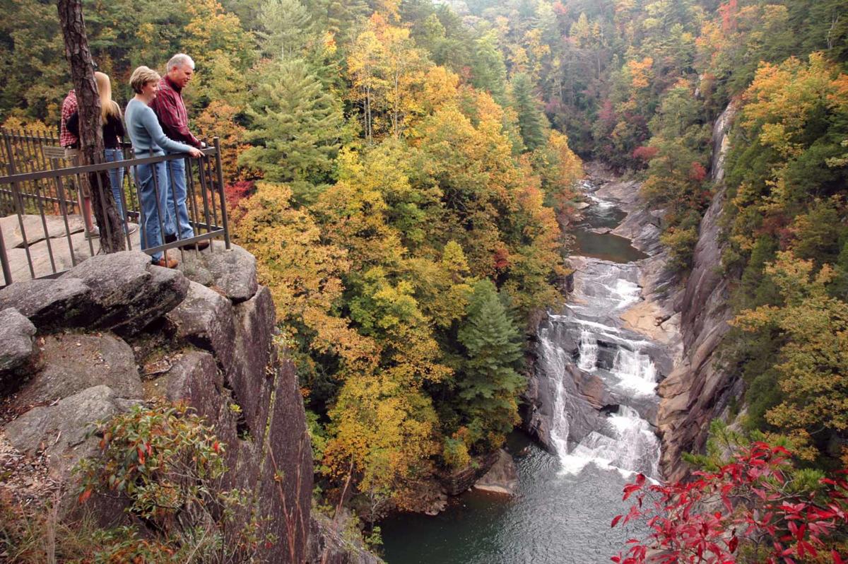 Get the Perfect View of Fall Foliage Top 5 Overlooks at